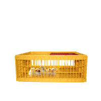 Бокс для перевозки живой птицы 1-45