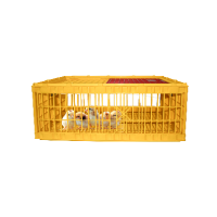 Бокс для перевозки живой птицы 1-60