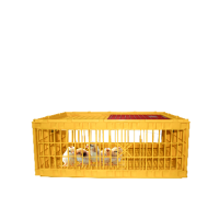 Бокс для перевозки живой птицы 1-60