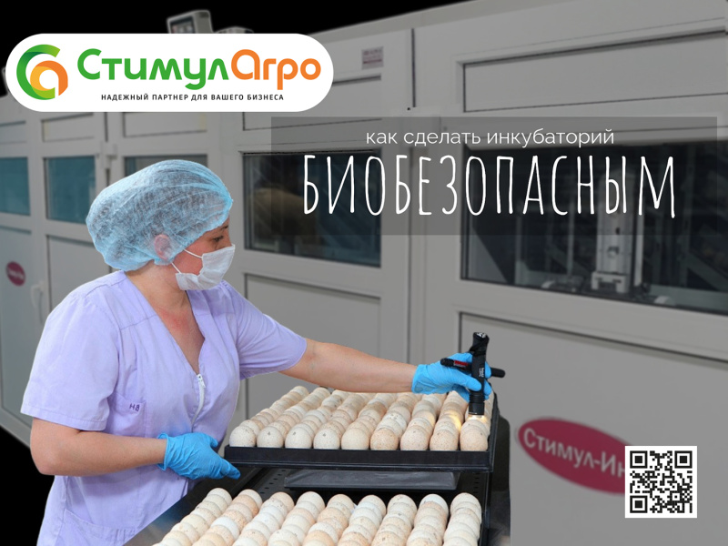 Биобезопасность инкубатория: ключевые аспекты