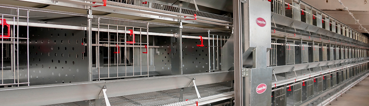 Клеточное оборудование