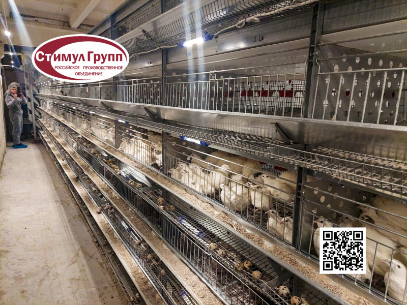 Клеточное оборудование для перепелов