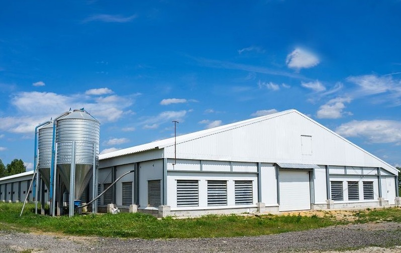 Строительство птицефабрики