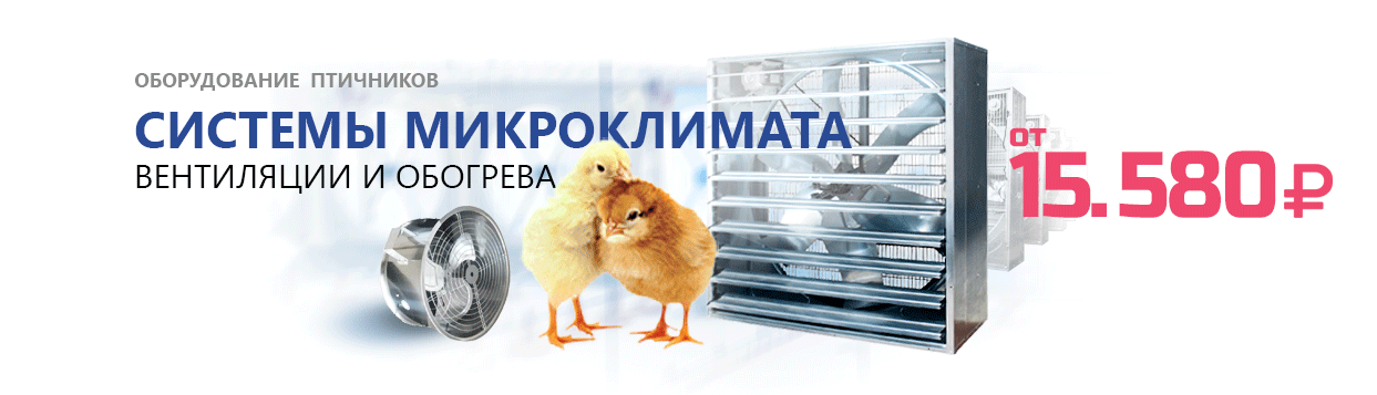 Под контентом