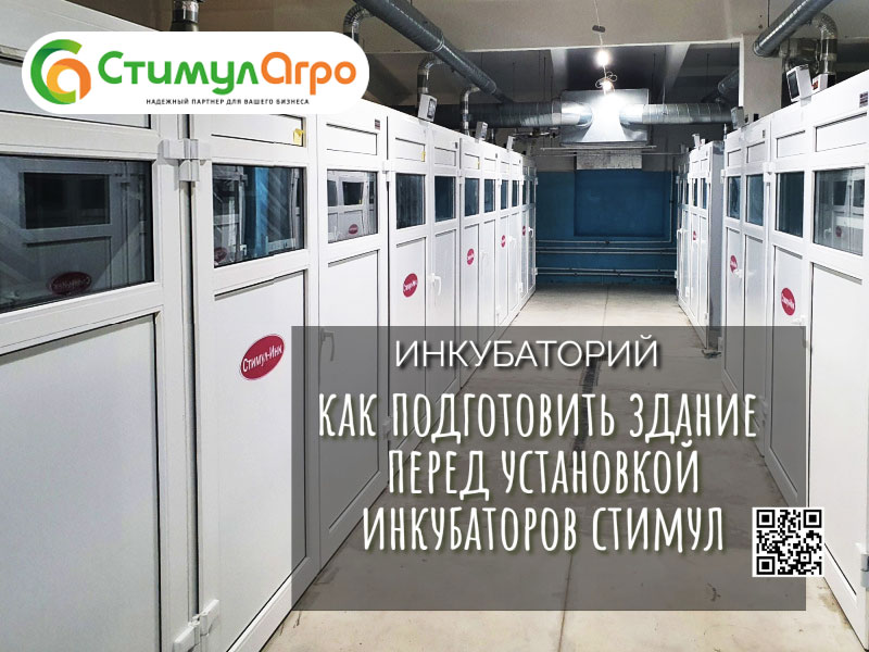Инкубаторий: как подготовить здание перед установкой инкубаторов Стимул