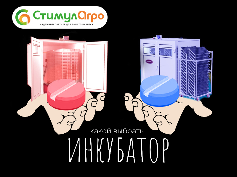 Выводной или предварительный как понять?