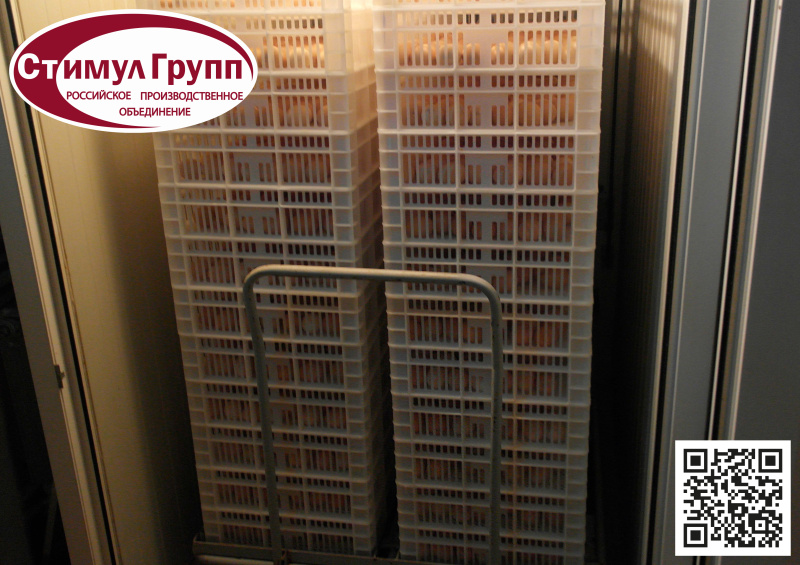 Лотки на 150 куриных яиц от компании "Стимул Агро"