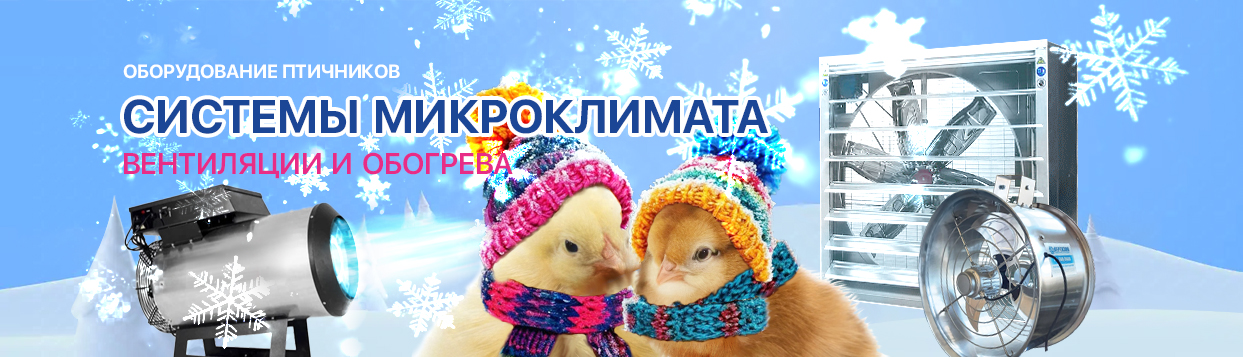 Под контентом