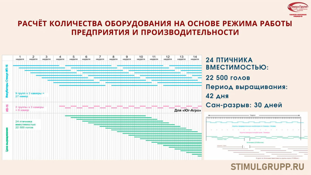 Расчет - циклограмма для инкубатория.jpg Расчет - циклограмма для инкубатория.jpg