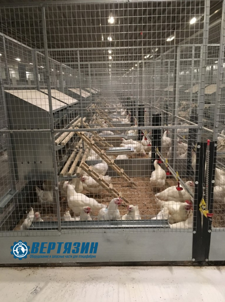 Гнездо с Лого.jpg