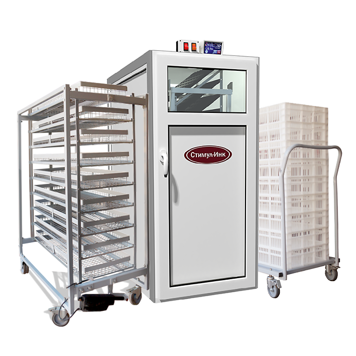 Стимул 1000У.png