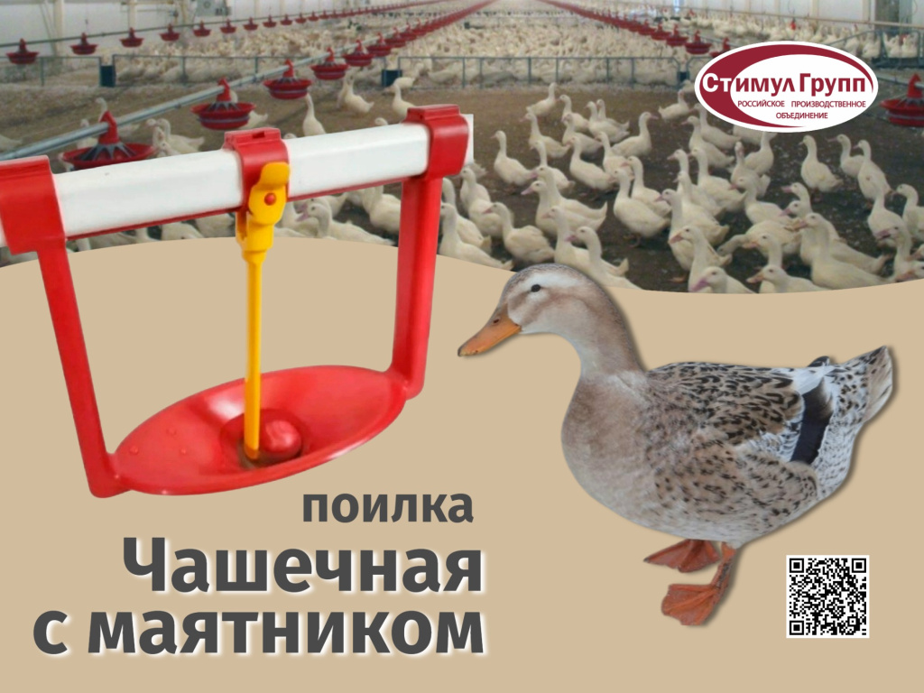 Чашечная поилка с маятником.jpg Чашечная поилка с маятником.jpg