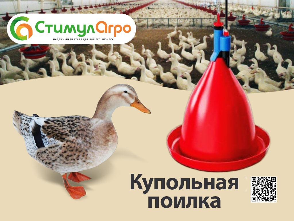 Купольная-поилка1.jpg Купольная-поилка1.jpg