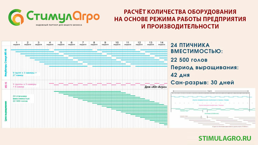 Расчет---циклограмма-для-инкубатория.jpg Расчет---циклограмма-для-инкубатория.jpg