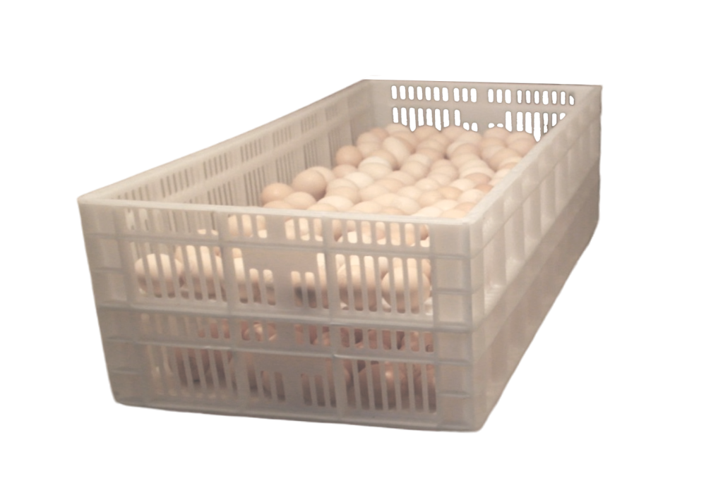 Лоток выводной.png