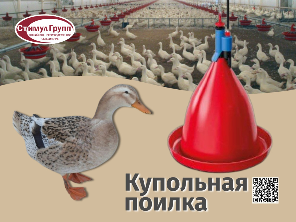 Купольная поилка.jpg Купольная поилка.jpg