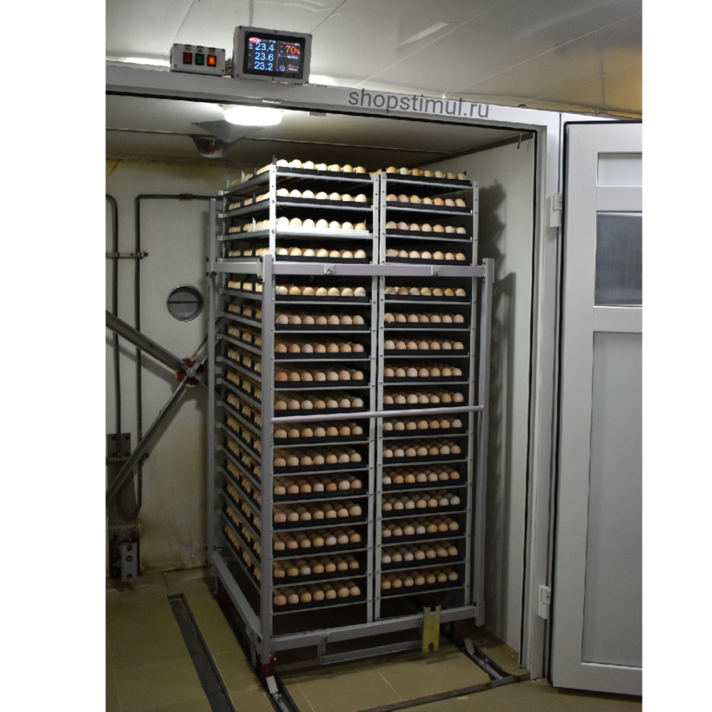 Выводной инкуб с яйцом.jpg