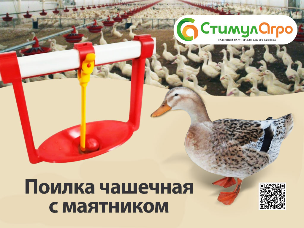 Чашечная-поилка-с-маятником_1.jpg