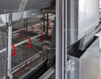 КБН клеточная батарея для содержания кур несушек от магазина Shopstimul