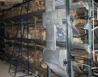 КБИ-2У клеточная батарея для содержания индейки от магазина Shopstimul